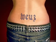 sfhh,