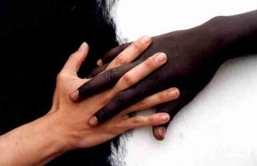 non au racisme